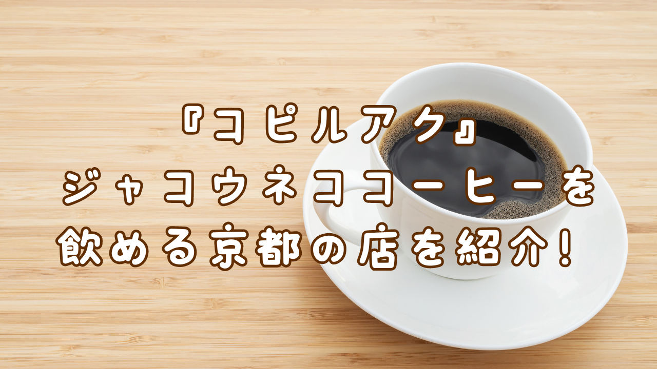 コピルアクを飲める店はどこ？ジャコウネココーヒーの値段が安い京都の店を紹介！